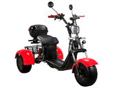 Электротрицикл SKYBOARD Irtysh TRIKE BR40-3000 PRO FAST OFF-ROAD - Фото 9