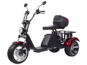 Электротрицикл SKYBOARD TRIKE BR80 - Фото 1