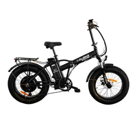 Elbike Taiga 2 Vip (13), Черный