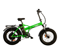 Elbike Taiga 2 Vip (13), Зеленый