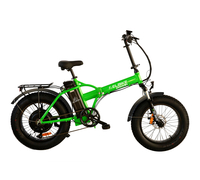 Elbike Taiga 2 St (Зеленый)